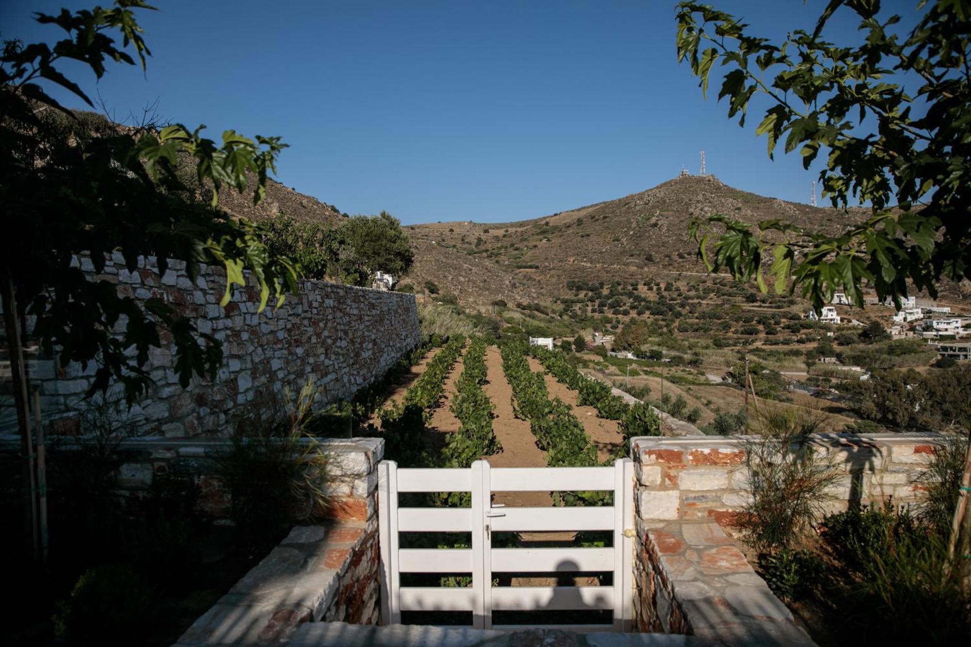 Wow Panoramic View Deluxe Villas Αγγίδια Εξωτερικό φωτογραφία